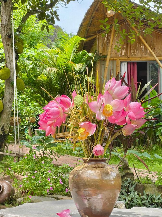 Trang An Lamia Bungalow Ninh Binh Bagian luar foto